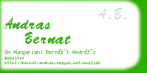 andras bernat business card